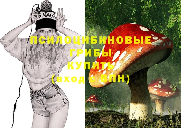 прущие грибы Вязьма