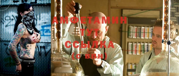прущие грибы Вязьма