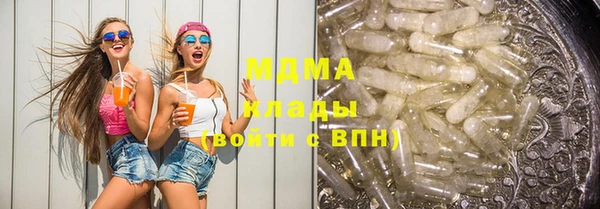 прущие грибы Вязьма