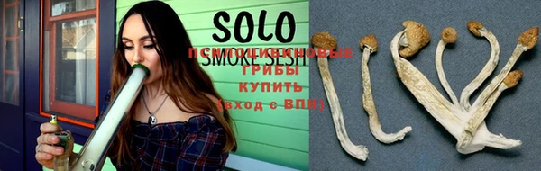 соль курить ск Горняк